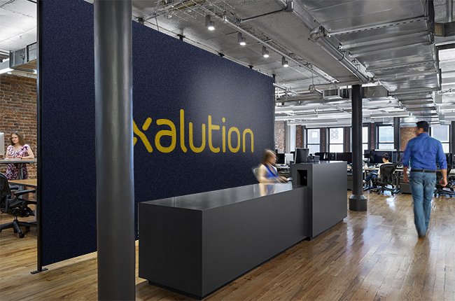 xalution ist der Microsoft Dynamics 365 Partner für agile ERP-, Supply Chain- und Finance & Operations-Lösungen